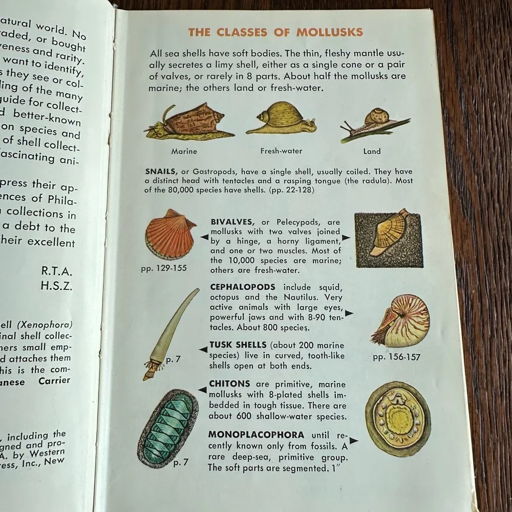 Sea Shells of the World Golden Nature Guide R Tucker Abbott Vintage Book 1962
